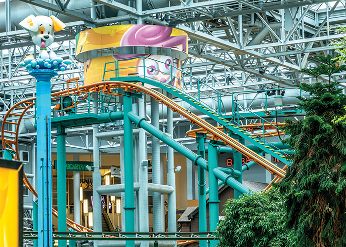 mall of america