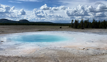 A stunning ice blue geyser in Yellowstone accompanied by wildlife in the background.