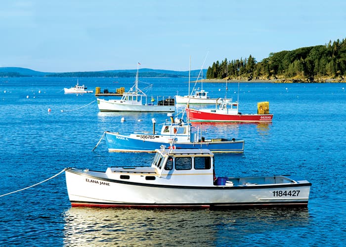 Maine Coast and Harbors Cruise