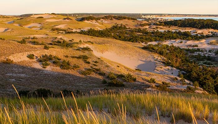 Provincetown Dunes Adventure Available on Cape Codder Cruise